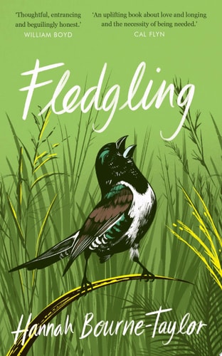 Fledgling by Hannah Bourne-Taylor