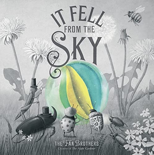 It Fell from the Sky by Eric Fan
