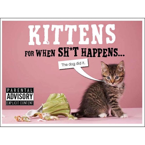 Kittens For When Sh*t Happens by Davies, Trevor