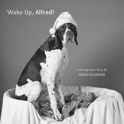 Wake Up, Alfred!: A Photographic Story (Shelfworn) by David Ellwand