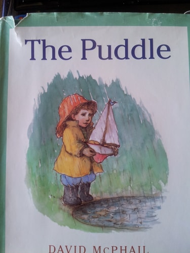 The Puddle (shelf worn) by David McPhail