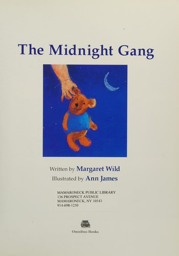The Midnight Gang (shelfworn) by Margaret Wild