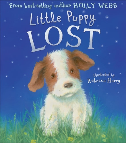 Little Puppy Lost von Holly Webb