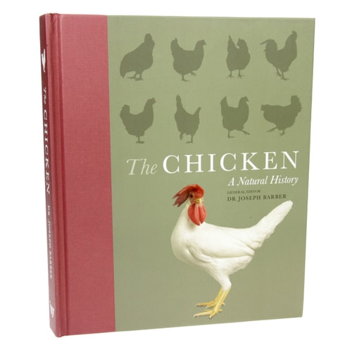 Chicken: A Natural History by See Image