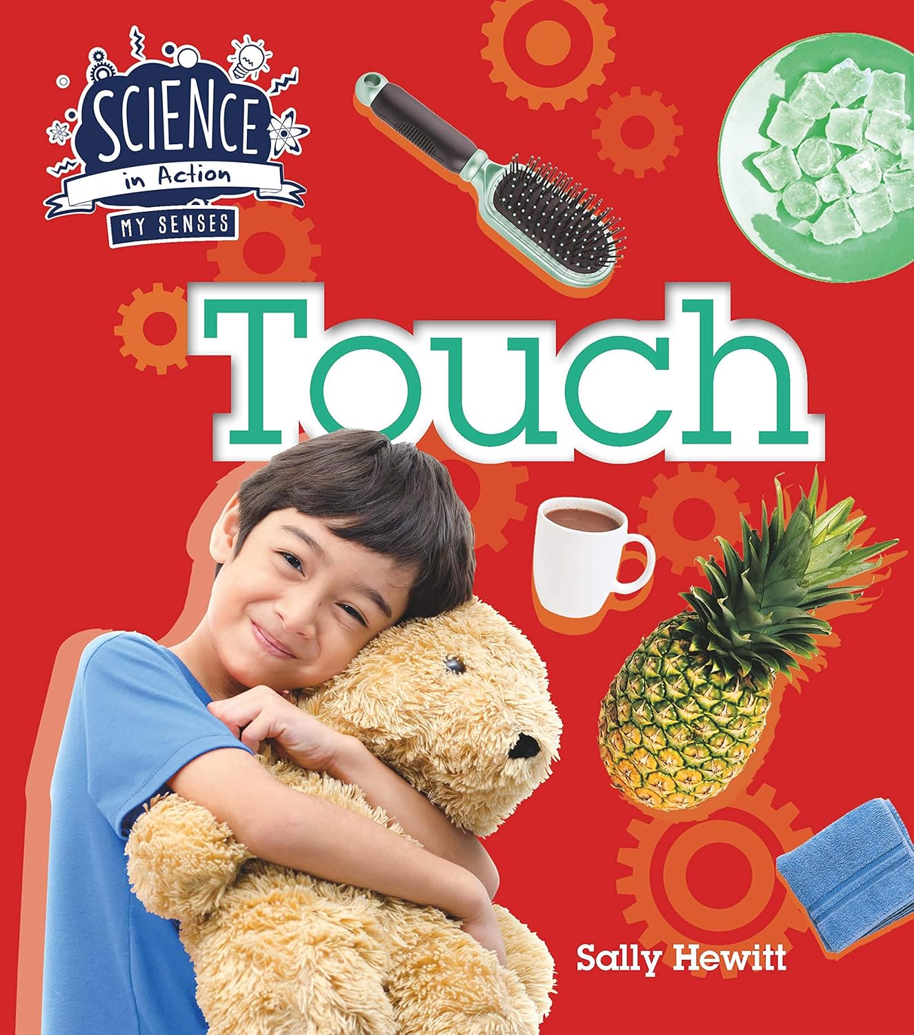 Science In Action: Touch by Sally Hewitt