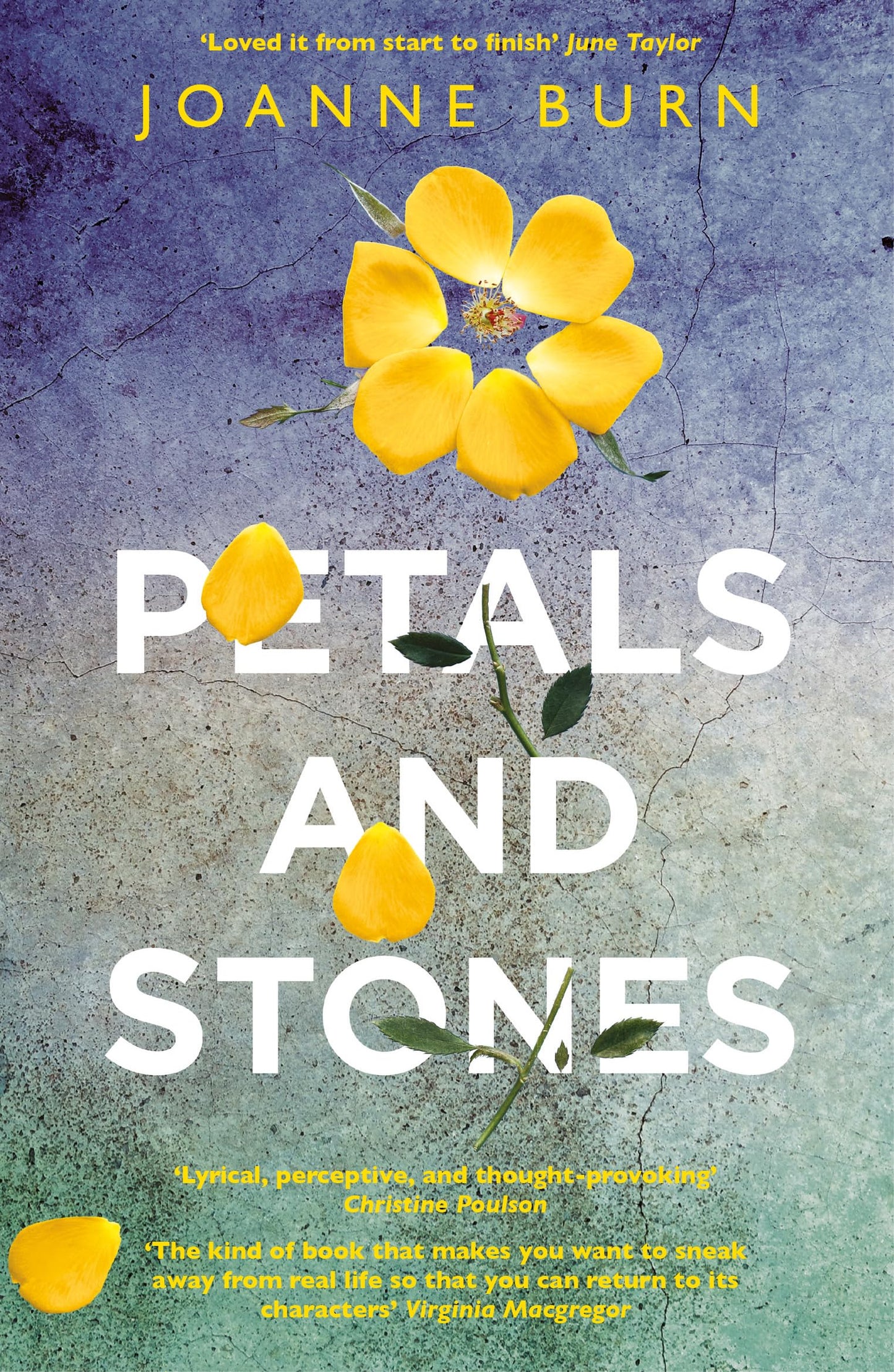 Petals & Stones by Joanne Burn