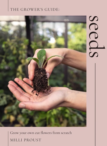 Seeds: Grow Your Own Cut Flowers from Scratch by Milli Proust