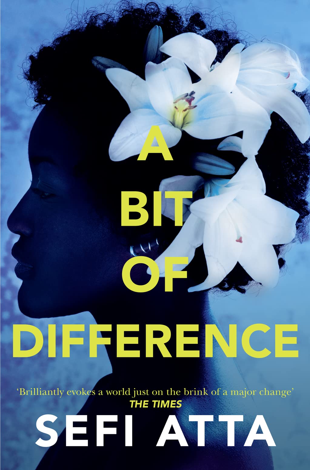 A Bit of Difference by Sefi Atta