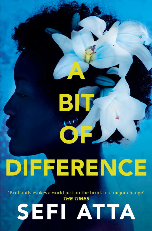 A Bit of Difference by Sefi Atta