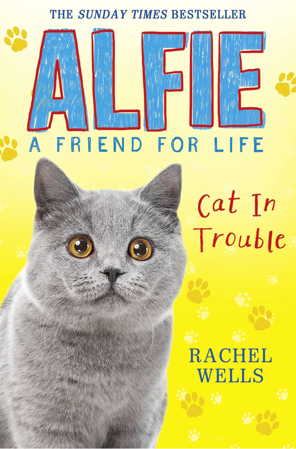 Alfie Cat in Trouble (Alfie A Friend for Life) by Wells, Rachel