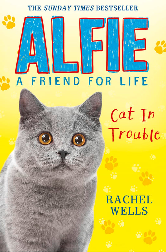 Alfie Cat in Trouble (Alfie A Friend for Life) by Wells, Rachel