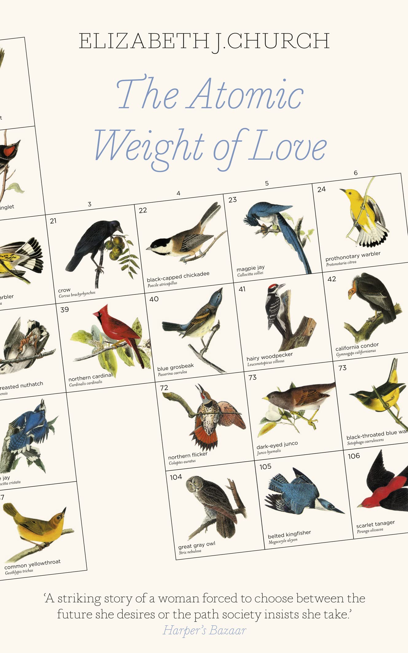 Atomic Weight of Love by Elizabeth J Church