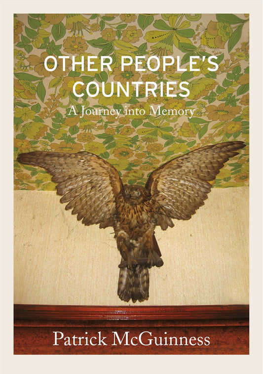 Other Peoples Countries: A Journey Into Memory by Patrick McGuinness