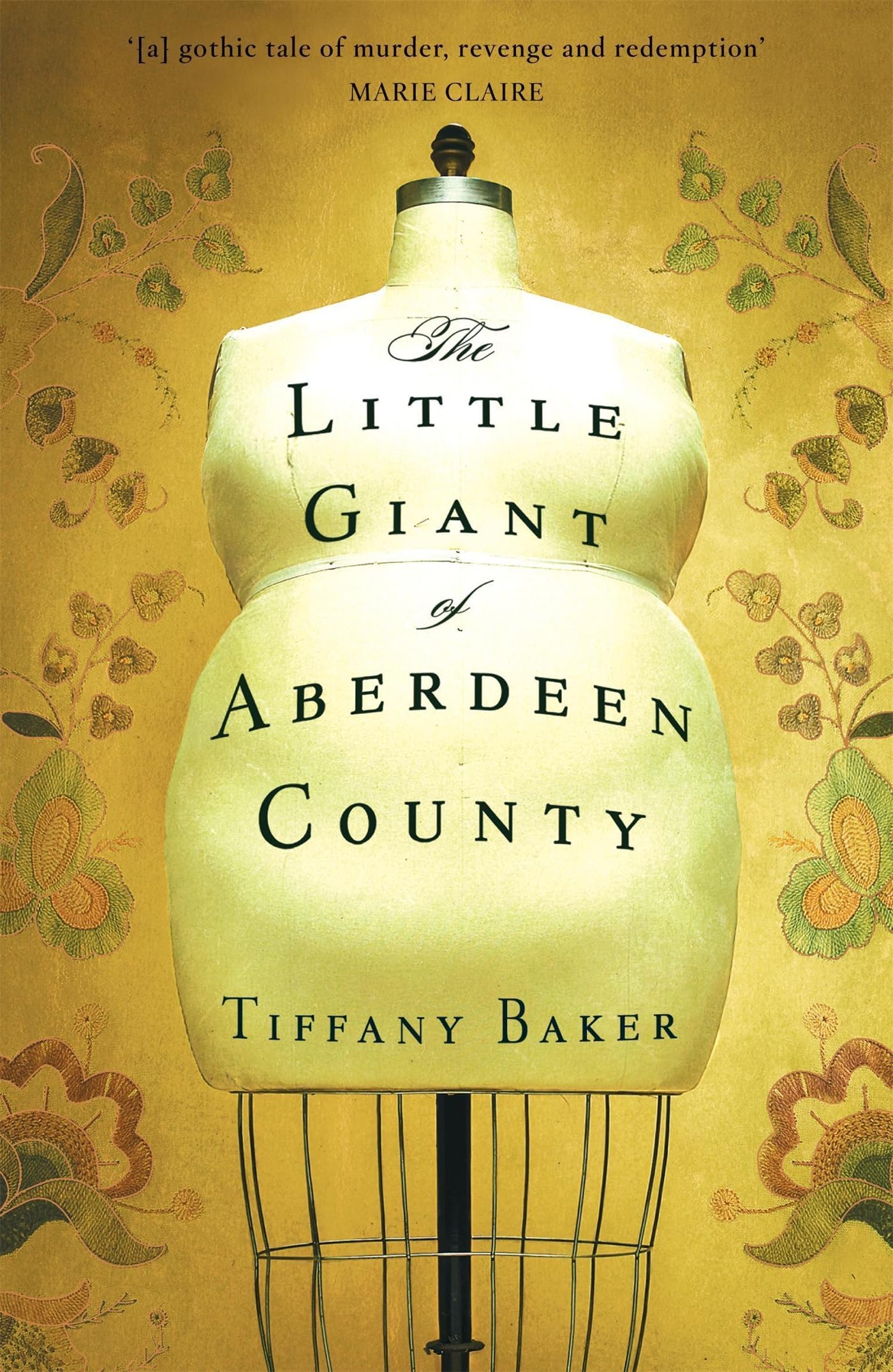 Little Giant Of Aberdeen County by Tiffany Baker