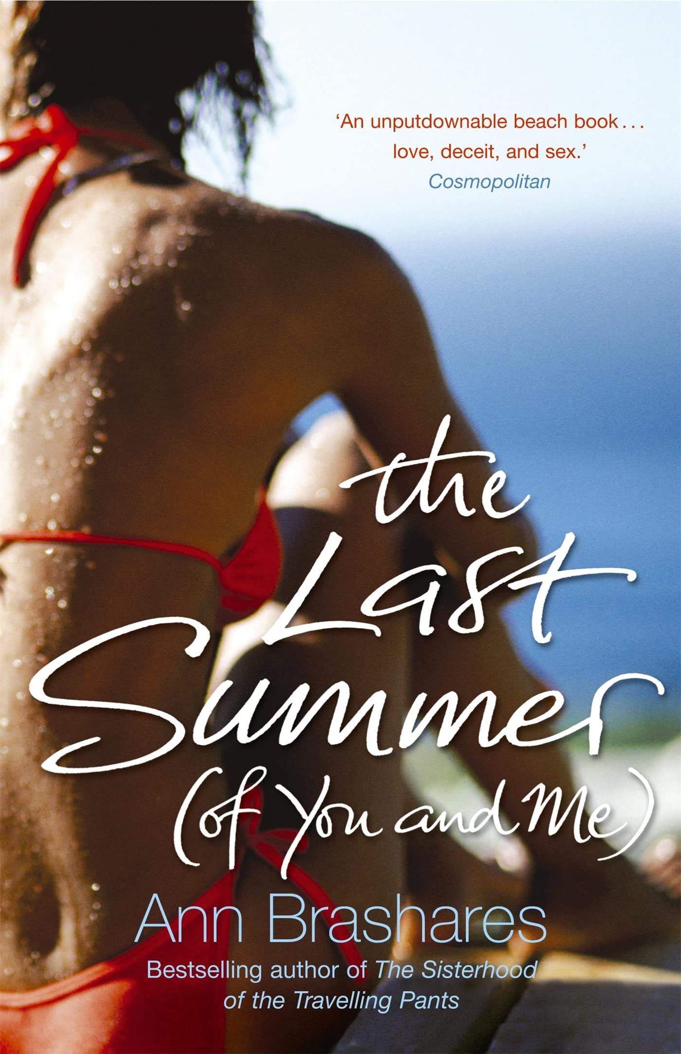 Last Summer (Of You & Me) by Ann Brashares