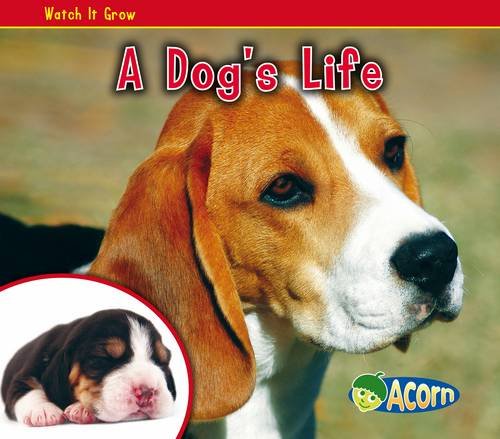 A Dog's Life by -