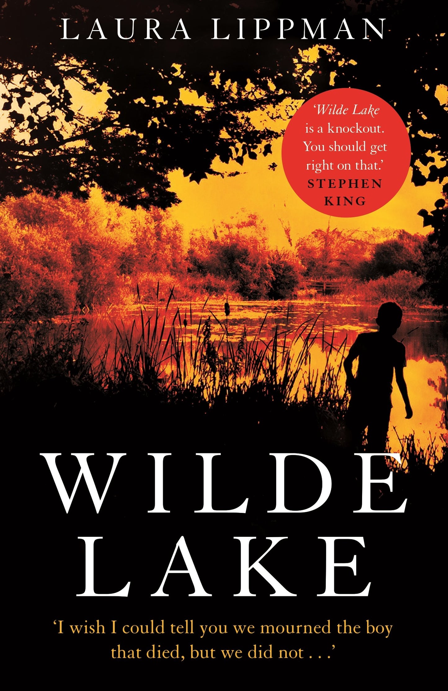 Wilde Lake by LIPPMAN L