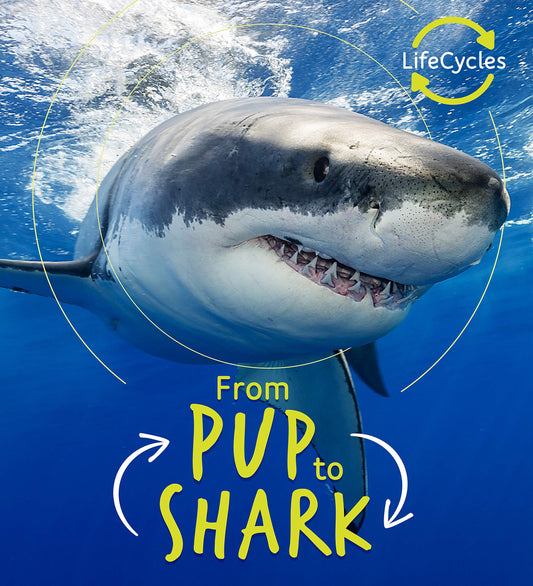 Life Cycles: From Pup To Shark by Camilla de la Bedoyere