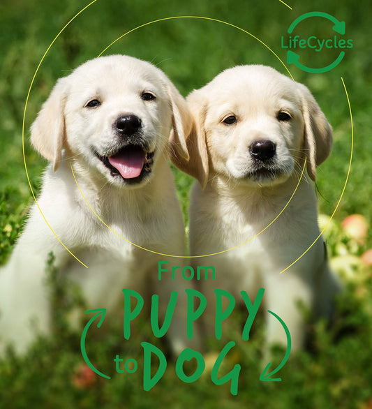 Life Cycles: From Puppy To Dog by Camilla de la Bedoyere