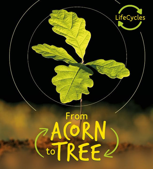 Life Cycles: From Acorn To Tree by Camilla de la Bedoyere