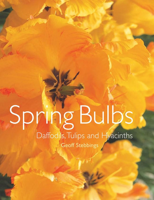 Spring Bulbs: Daffodils, Tulips & Hyacinths by Geoff Stebbings