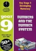 Key Stage 3 Developing Numeracy: Numbers & The Number System Year 9 by Hilary Koll & Steve Mills