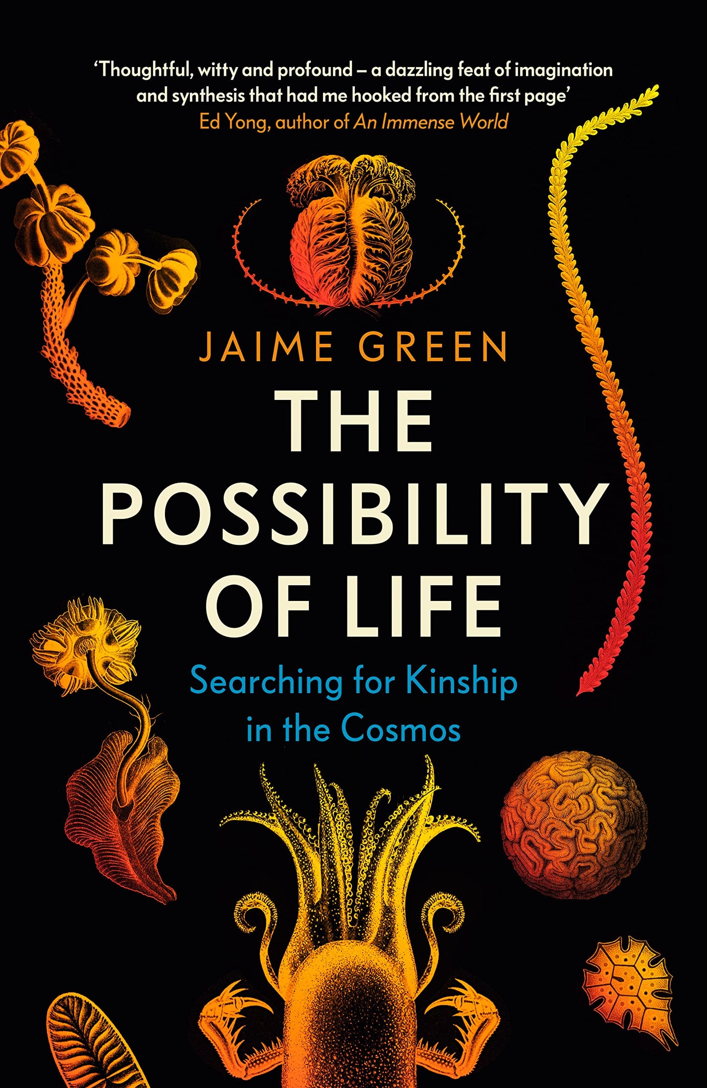 Possibility of Life: Searching for Kinship in the Cosmos by Jaime Green