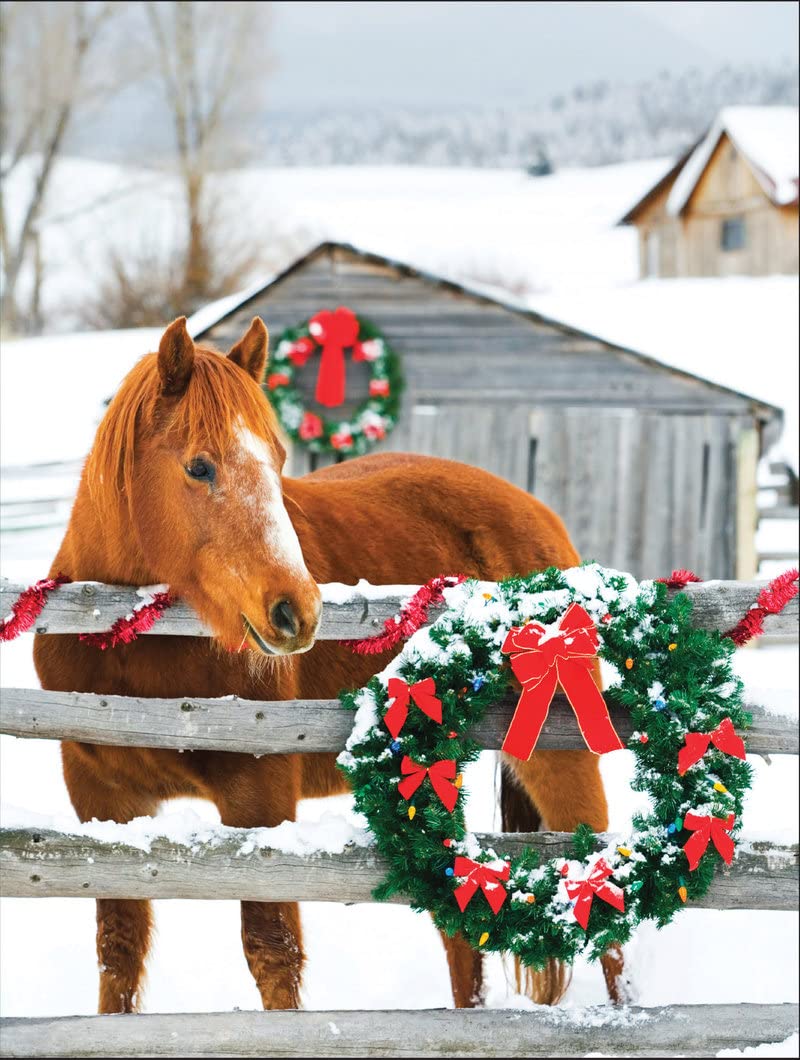 Spread Cheer! Horse & Barn boxed notecards & envelopes by -