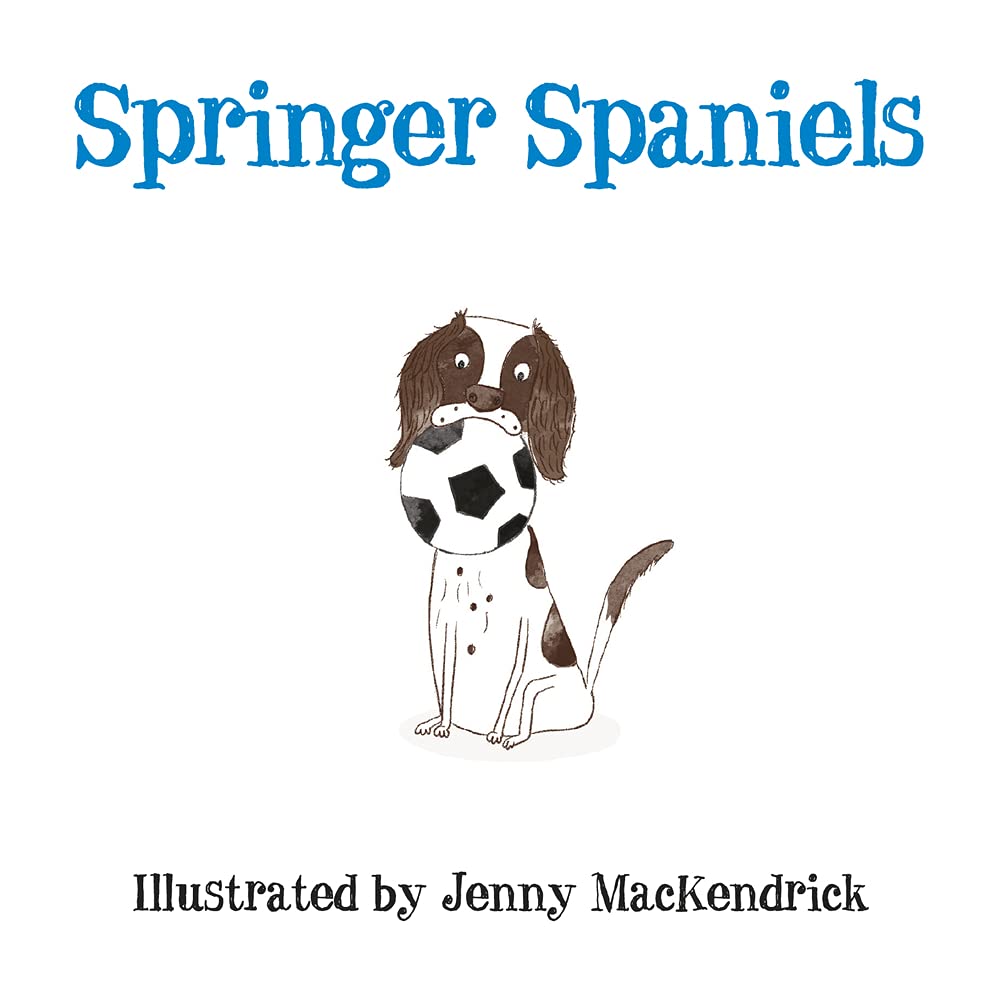 Springer Spaniels by Jenny MacKendrick