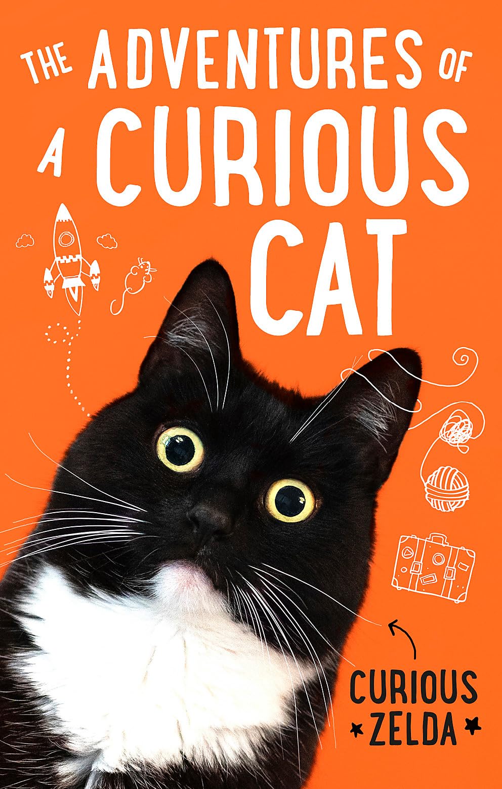 Adventures of a Curious Cat: wit and wisdom from Curious Zelda, purrfect for cats and their humans by Curious Zelda