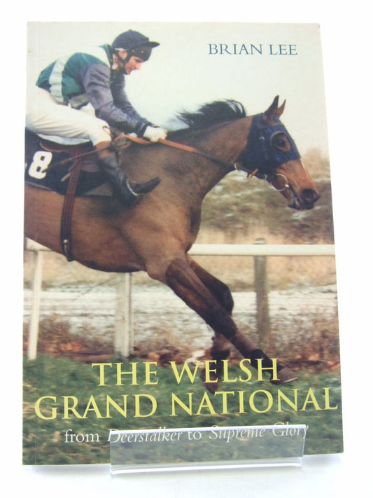 Welsh Grand National by Brian Lee