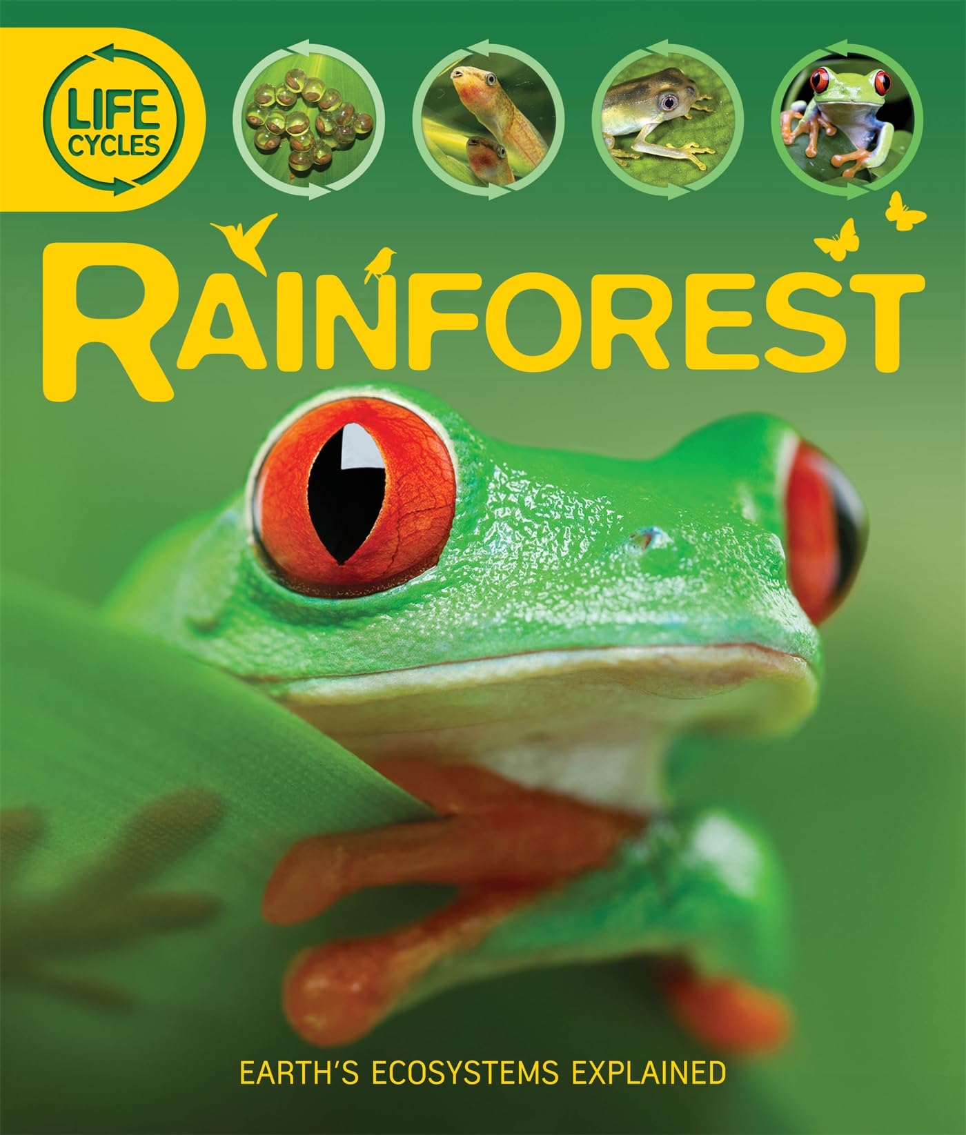 Life Cycles: Rainforest by Sean Callery,Sean Callery