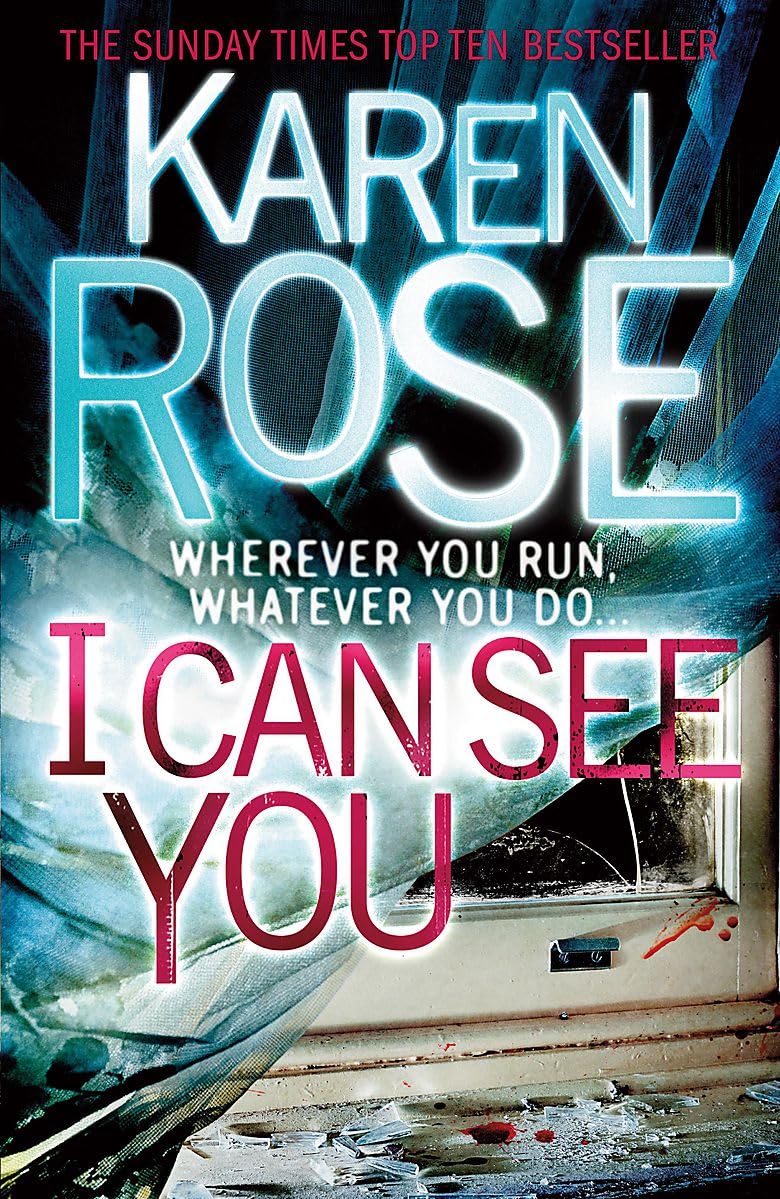 I Can See You (The Minneapolis Series Book 1) by Rose Karen