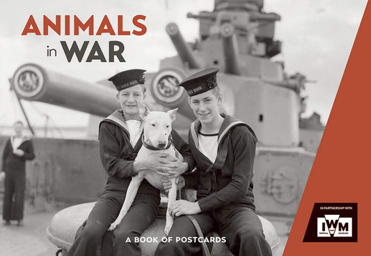 Animals In War: a book of postcards by Imperial War Museum