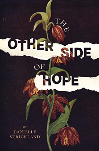 The Other Side of Hope: Flipping the Script on Cynicism & Despair and Rediscovering our Humanity by Danielle Strickland