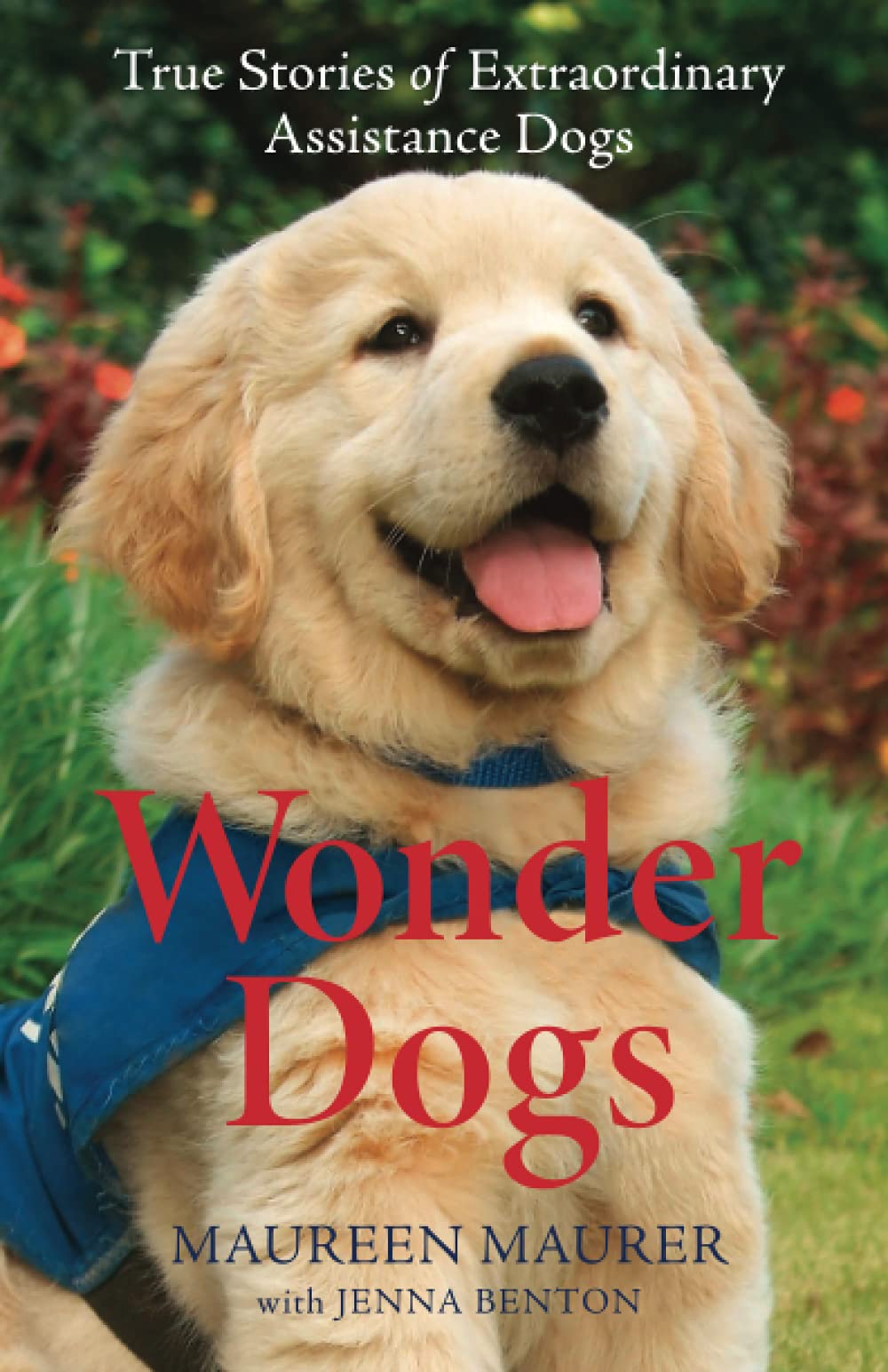 Wonder Dogs: True Stories of Extraordinary Assistance Dogs by Maurer, Maureen