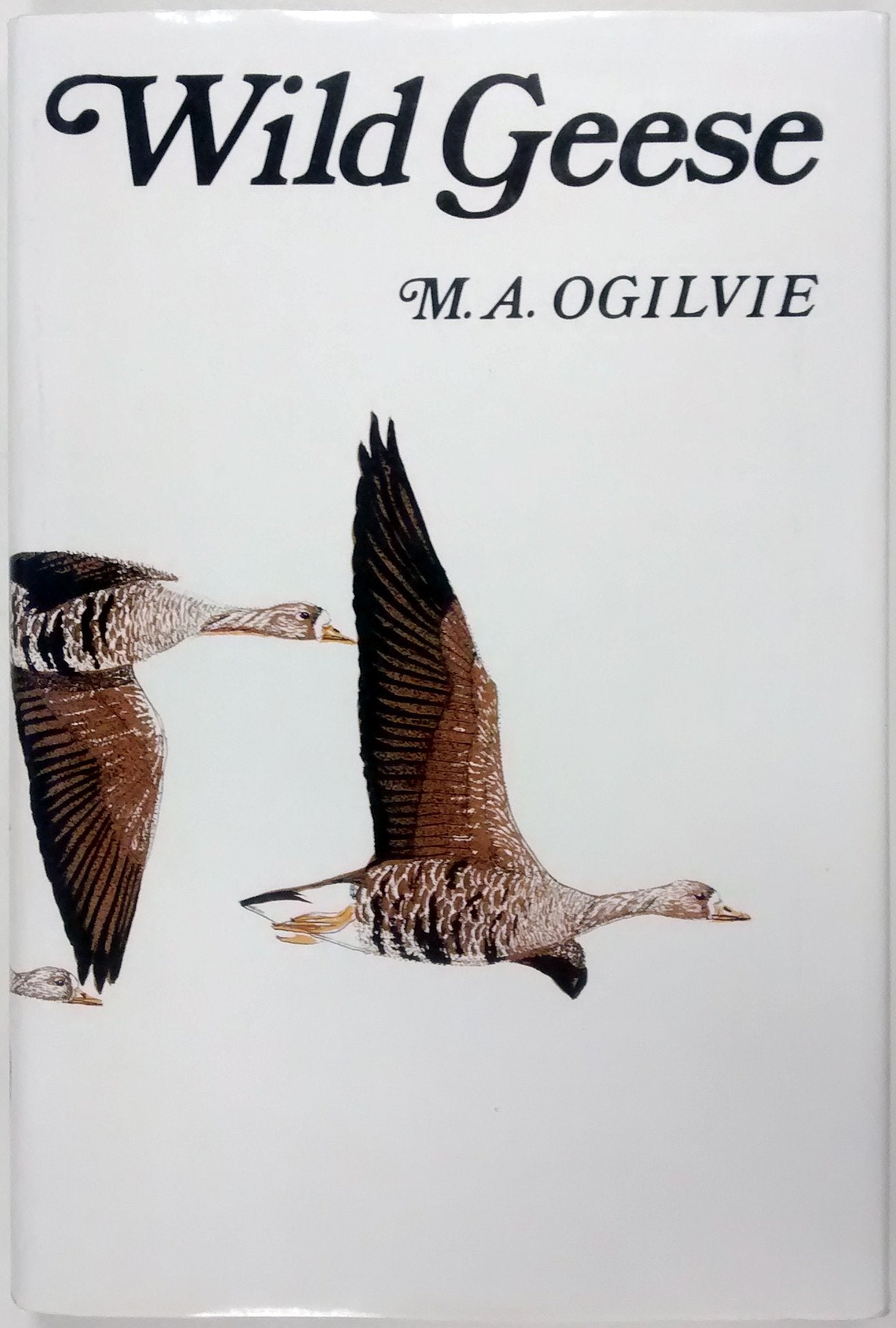 Wild Geese by M.A.Ogilivie