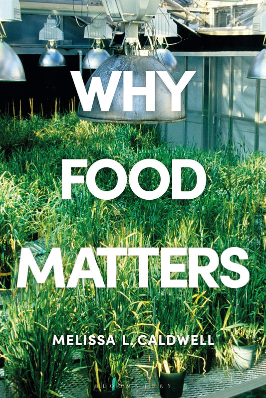 Why Food Matters: Critical Debates in Food Studies by Melissa L.Caldwell