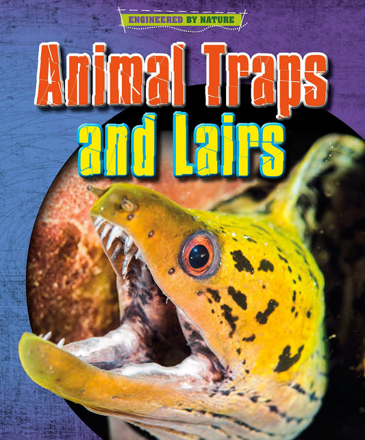 Engineered by Nature: Animal Traps and Lairs by Louise Spilsbury