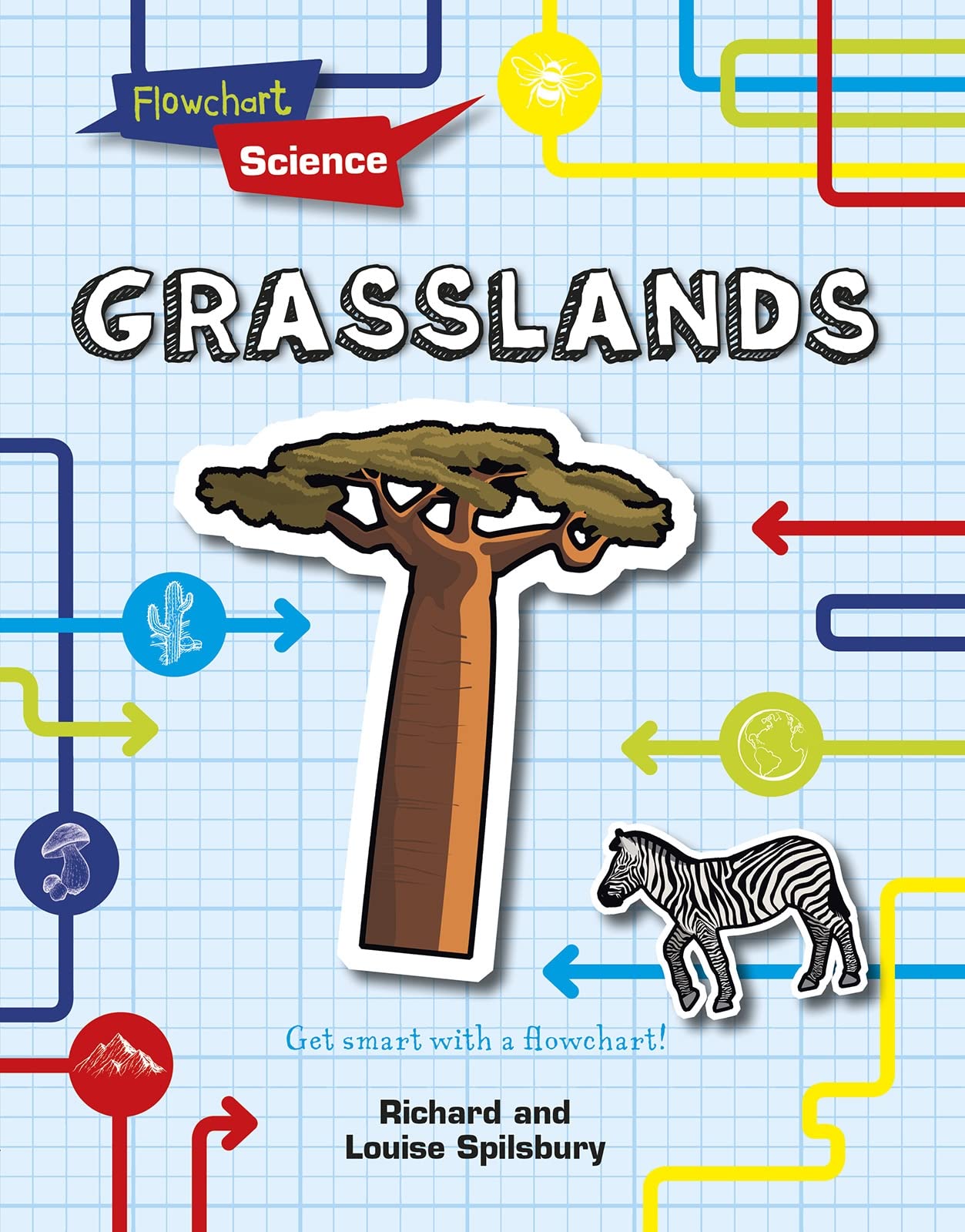 Flowchart Science: Grasslands by Spilsbury, Louise