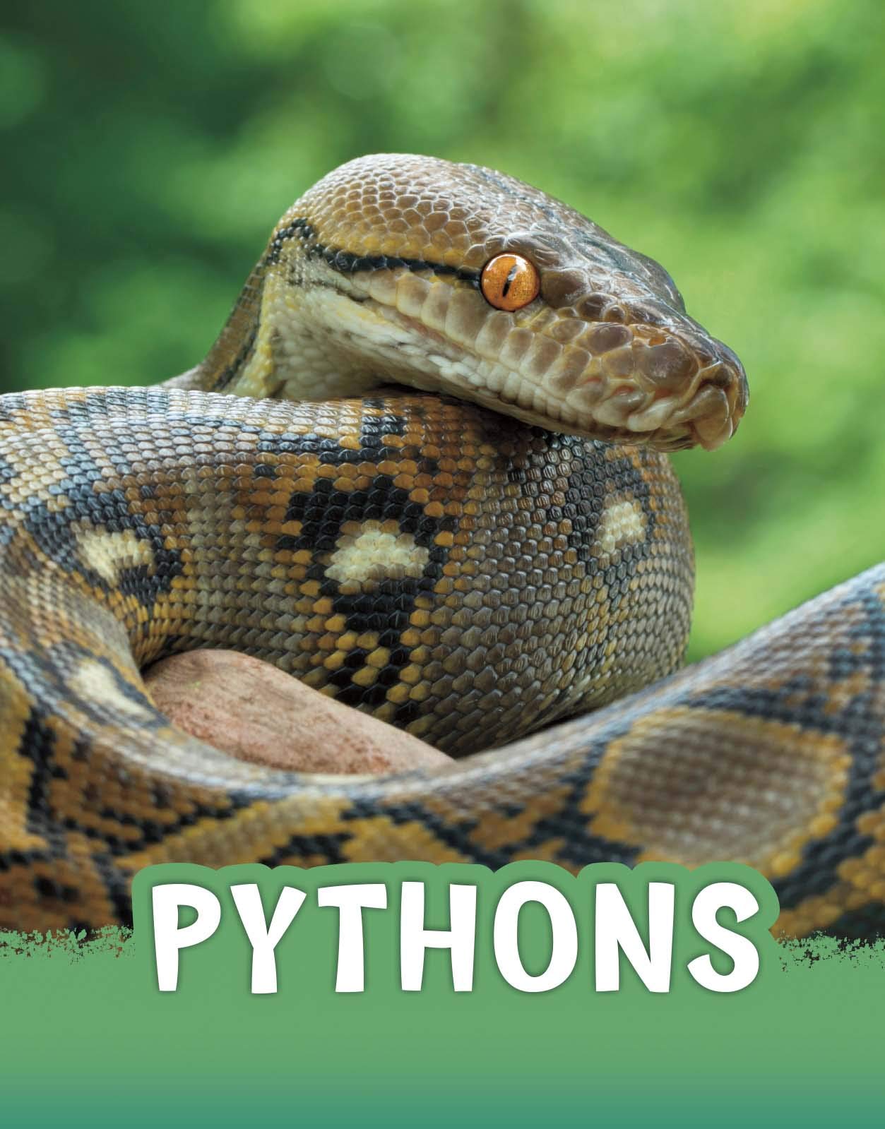 Animals: Pythons by Martha E.H.Rustad