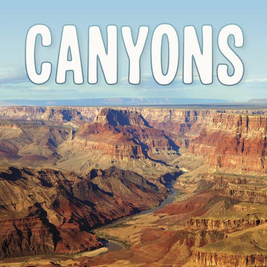 Canyons by Lisa J. Amstutz