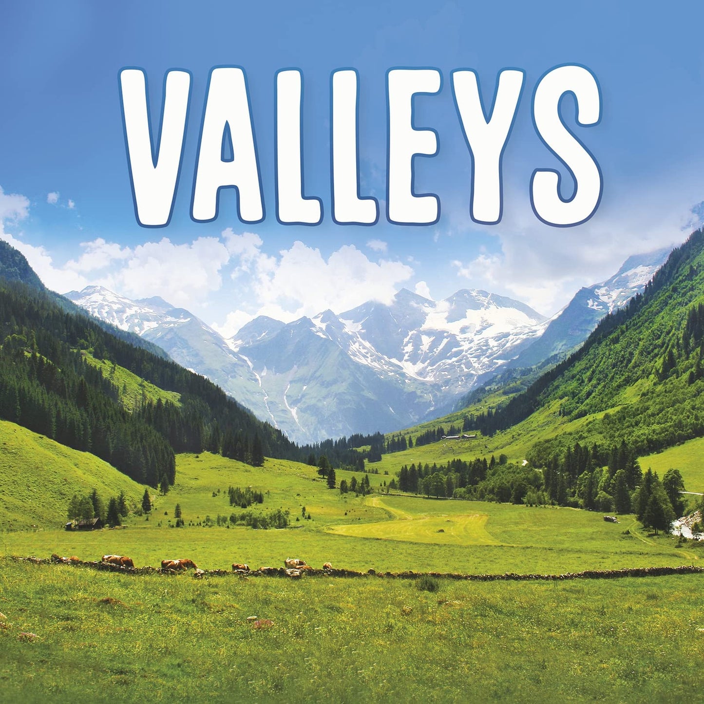 Earths Landforms: Valleys by Lisa J.Amstutz