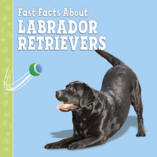 Fast Facts About Labradors by Marcie Aboff