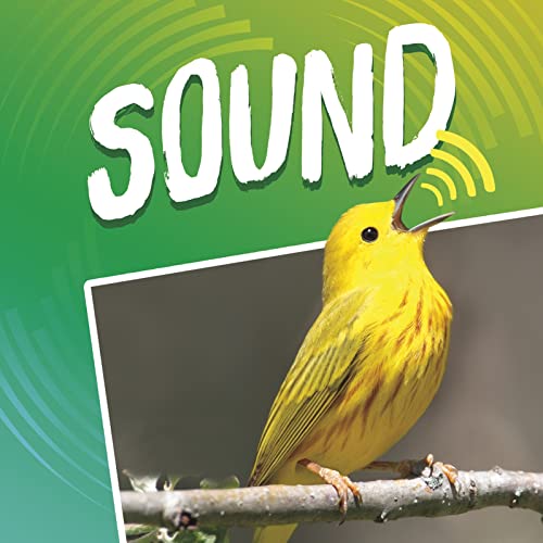 Sound (Light & Sound) by Michael Dahl