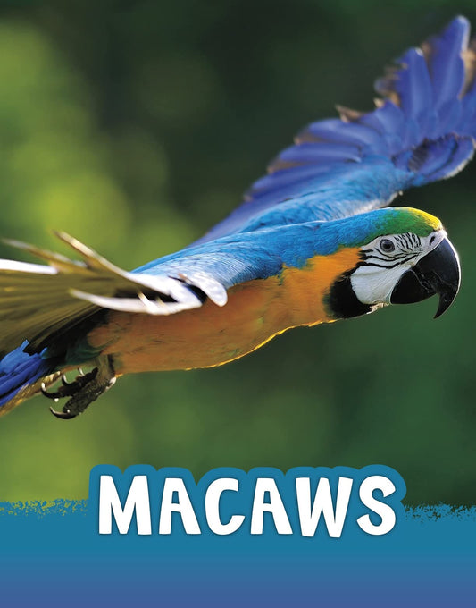 Macaws (Animals) by Jaclyn Jaycox