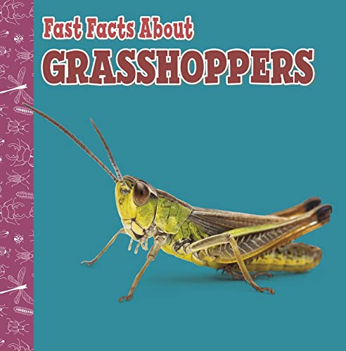 Fast Facts About Grasshoppers by Julia Garstecki-Derkovitz