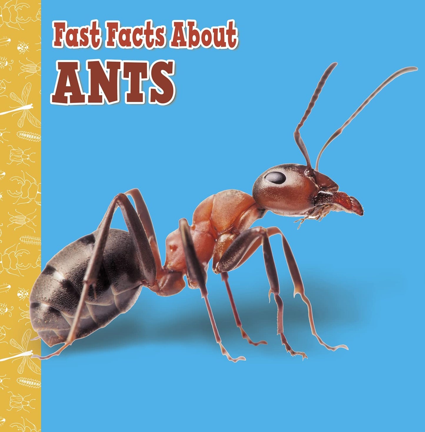 Fast Facts About Ants (Fast Facts About Insects and Spiders) by Lisa J. Amstutz