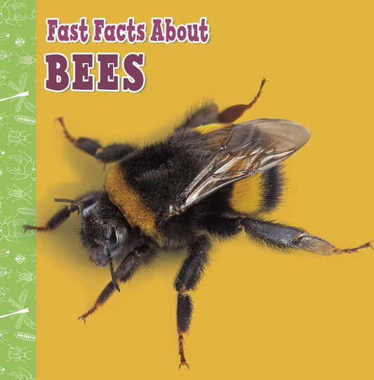 Fast Facts About Bees by Lisa J. Amstutz