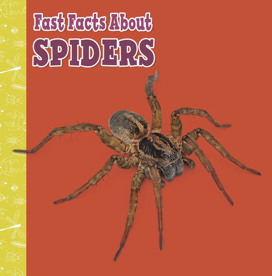 Fast Facts About Spiders by Julia Garstecki